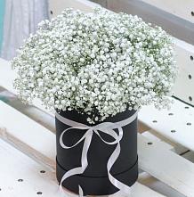 Цветочная композиция из Гипсофила в шляпной коробке #REPLACE_PRED# Сахарово